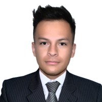 Johan Fernando Callejas Curtidor