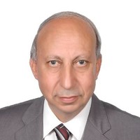 Adel Hamed Awadallah
