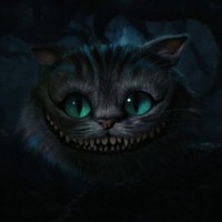 Nedvex Nexx