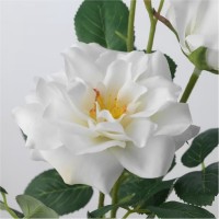 Aysha Albusmait