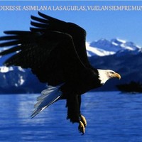 Elmer Jimenez Villanueva