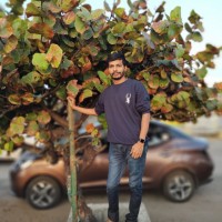 Puneethkumar N G