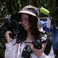 Leslie Saul-Gershenz, PhD