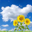 TK Industry Viet Nam Co.,Ltd