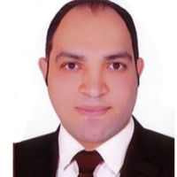 Ahmed Mansy Salama