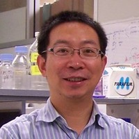 Feng Guo