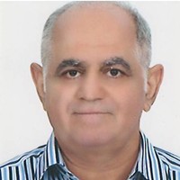 mohamad lotfi