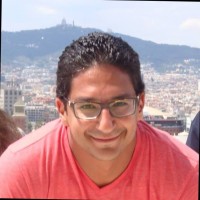 Waleed El-Rashidy