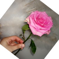 Rose Castro