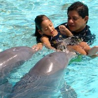 Damián Alquicira Palacios