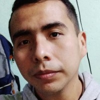 Ronald David Ochoa Ullaguari