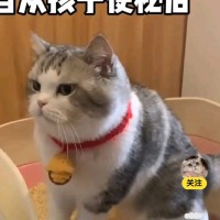 王凤文