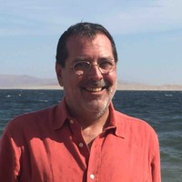 Cristian Vallejos