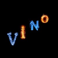 Vinothini K