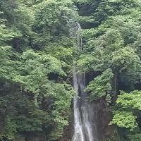 孟大鹏