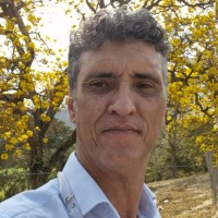 Marco Aurélio Vianini