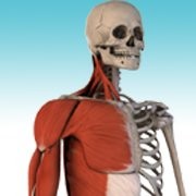 3D VMV Vision Medica Virtual