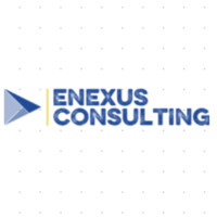 eNexus Consulting