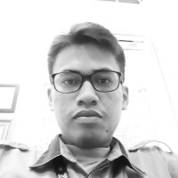 Aris Risandi