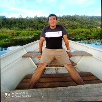 PEDRO IVAN ROJAS FLORES