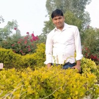 Pradeep Soni