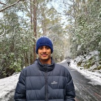 Vijay Rajaputra