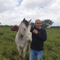 Erez Laniado