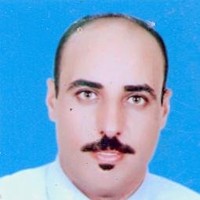 Adel Abdulsattar , AVS