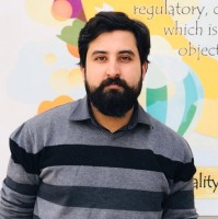 Syed Ali Zaidi