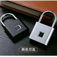 孙小菲