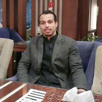Abdelhameed Abohashima