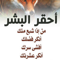 Mohamed Allouss