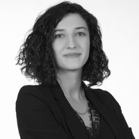 Av. Arb. Gizem Bilgin Demirtaş