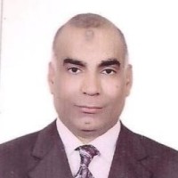 Mohamad Shaheen