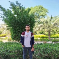محمد محمود
