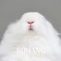 Wen Shuang
