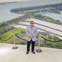 Gustavo Luis Surt