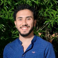 Aly Amir