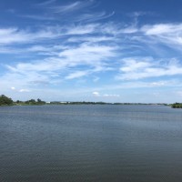 刘立新