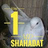 Md Shahadat