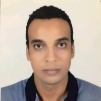 Alaa Essam