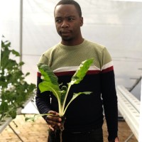 Nhlamulo Sydwell Mongwe