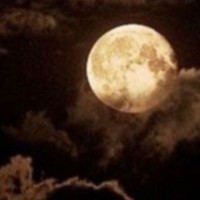 عبدالرحمن الوادعي