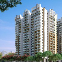 Jyothirmaye Properties