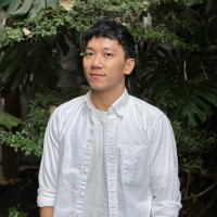 Toan Nguyen