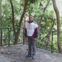 oswal flo