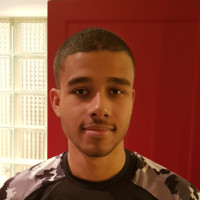 Bryan Petronella