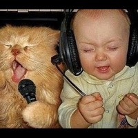 Mohamed Nisthar Mohamed Farhan