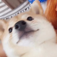 孙东博