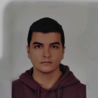 Arda Erol